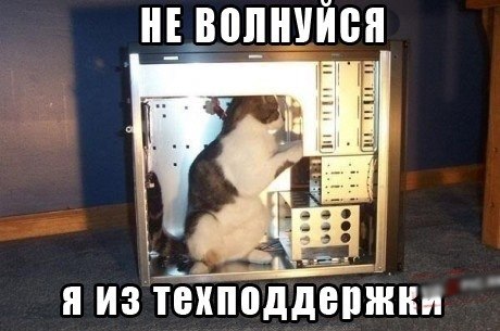 Алексей Родионов | Санкт-Петербург