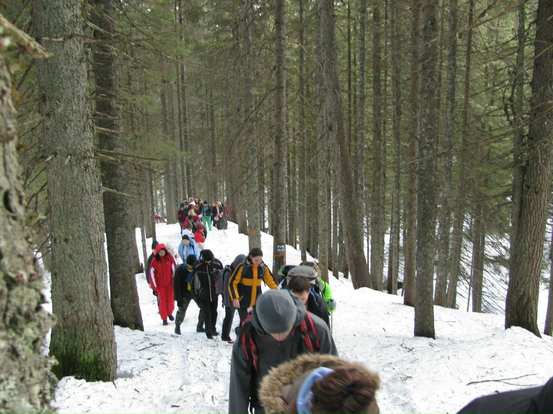 Діма Кохан | 