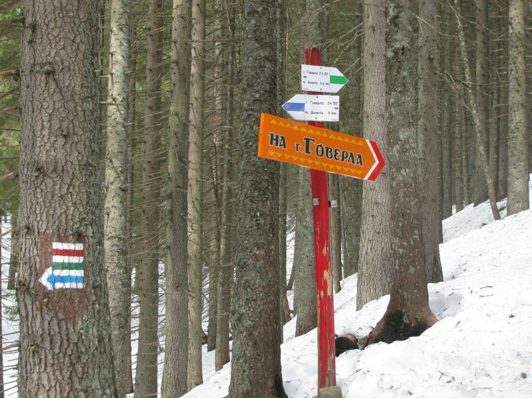 Діма Кохан | 