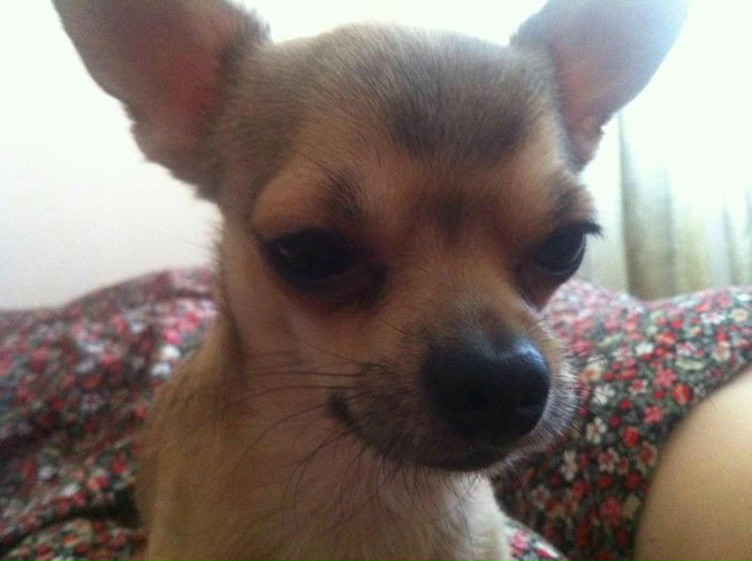 Tamila Shynbolat | Алматы