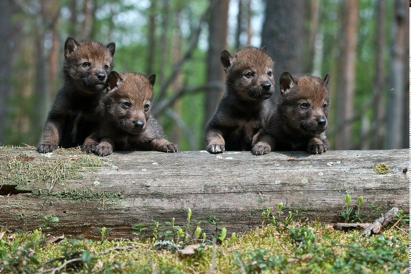 Ильгиз Шагиев | Уфа