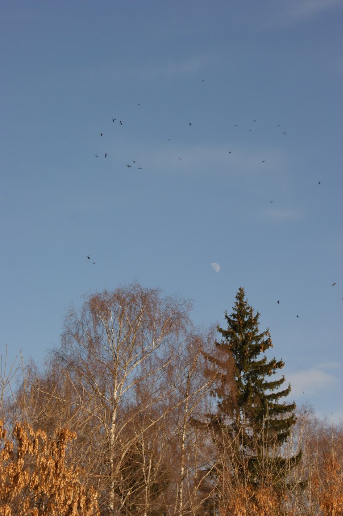 Марина Трошина | Обнинск