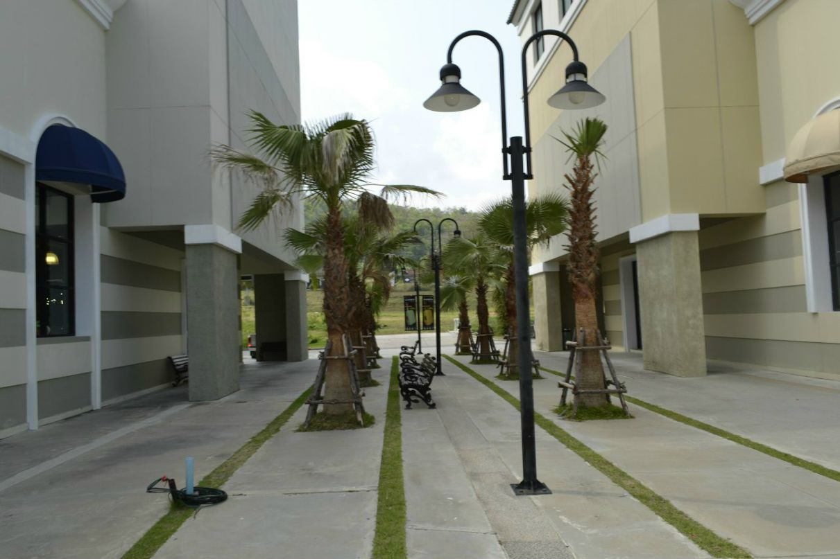 Алексей Белов 7+1 | Санкт-Петербург