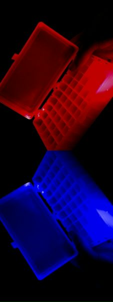 №23, Анна Тимирязева №23, Анна Тимирязева