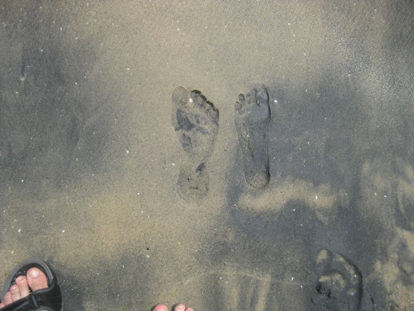 Ольга Ставер | Москва