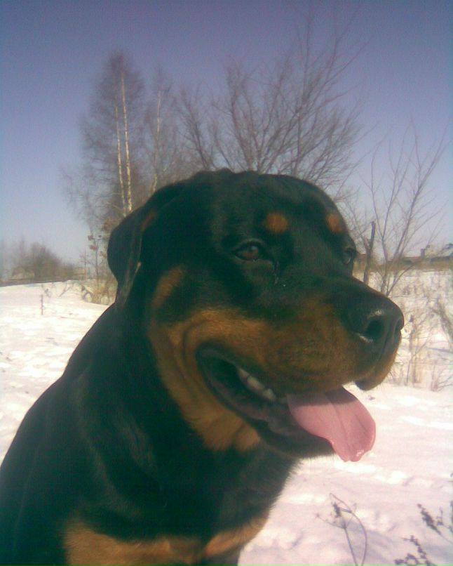 Александр Константинов | Йошкар-Ола