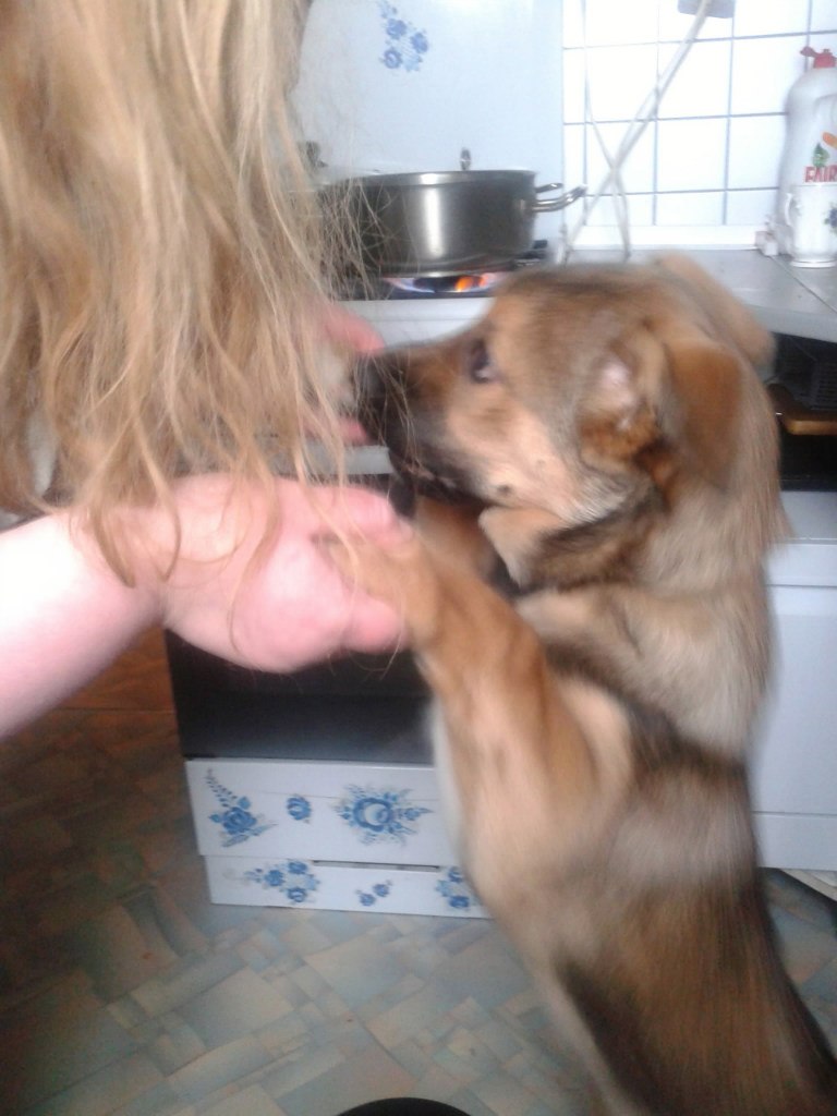 Екатерина Ширшова √Кисуля√ | Домодедово