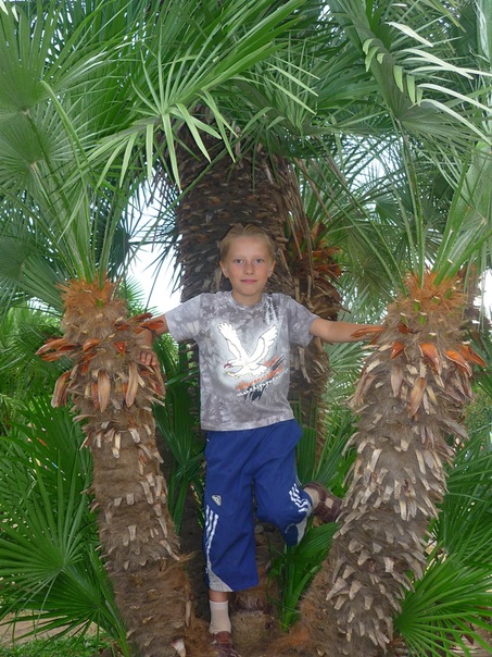 №13, Дмитрий Зюзин, Нижний Новгород №13, Дмитрий Зюзин, Нижний Новгород