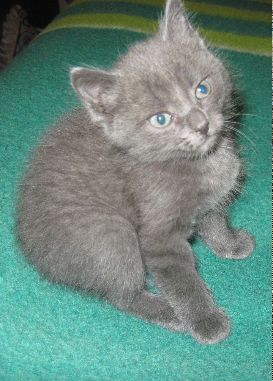 Павел Барбон | 