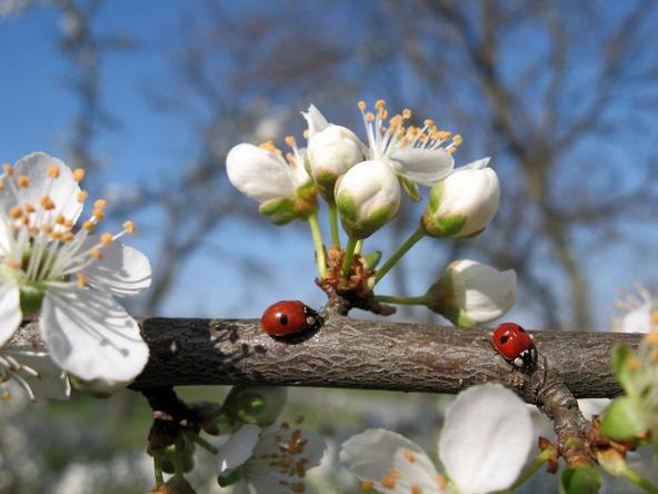 Юлия Нелёдова | Казань