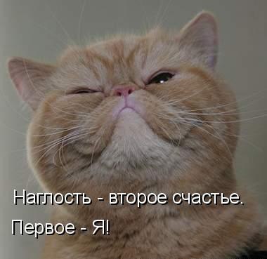 Анастасия Шайтанова | Мурманск