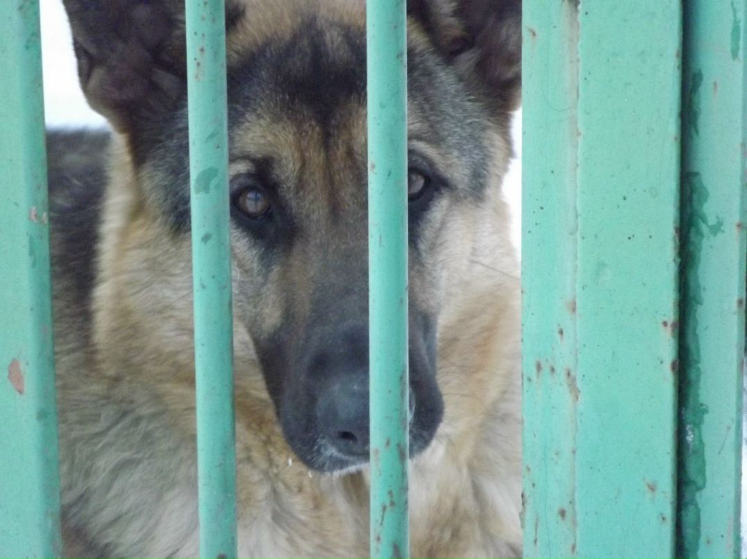 Сергей Ташкинов | Первомайск