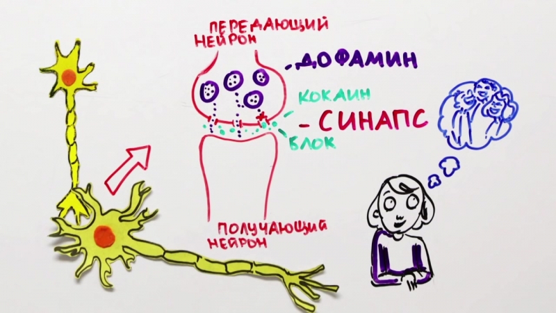 как работают наркотики как работают наркотики