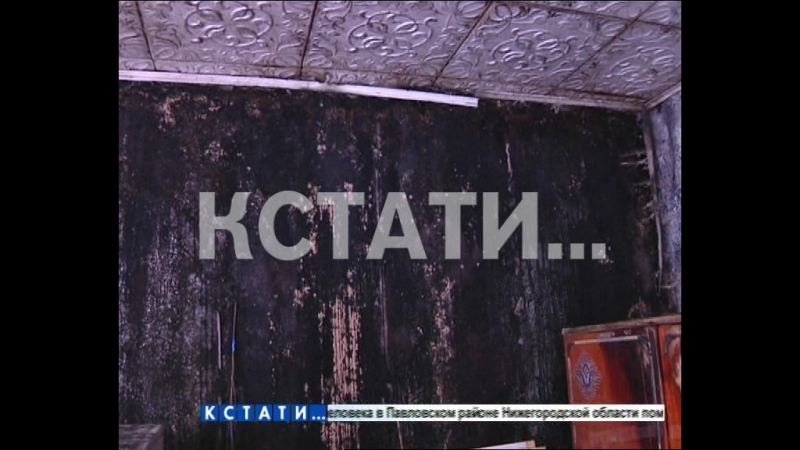 Черная плесень с пола до потолка затянула жилые