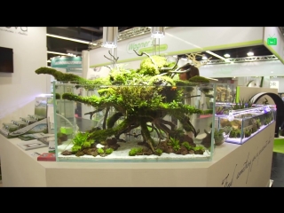 FRESH WATER TANKS of INTERZOO 2016