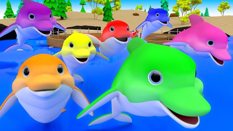 Colors for Children to Learn with Cartoon Dolphins Color Water 3 D Kids Toddler Babies Learn