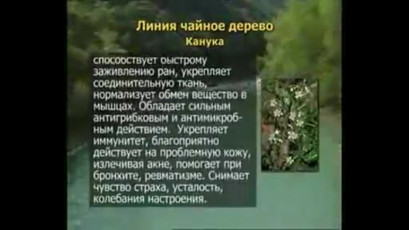 Уникальная линия от ВивасанЧайное