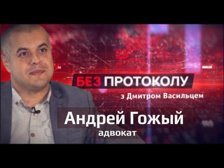Андрей Гожый: Политика пришла ко мне  Без протокола с Дмитрием Васильцом