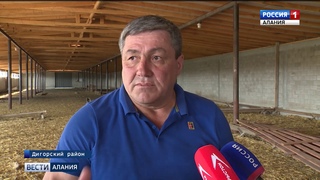 В республике активными темпами развивается овцеводство