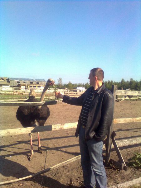 №31, Сергій Крижанівський, Севрюки №31, Сергій Крижанівський, Севрюки