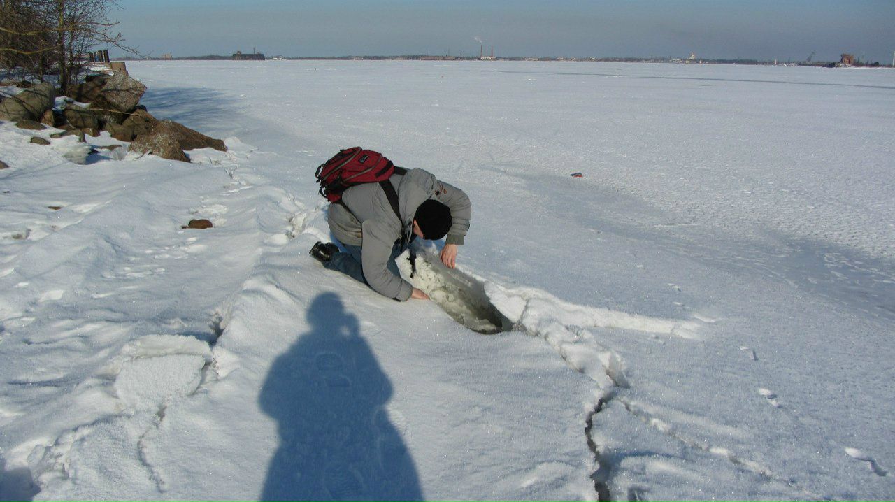 Любовь Алексеева Борисовна | Санкт-Петербург