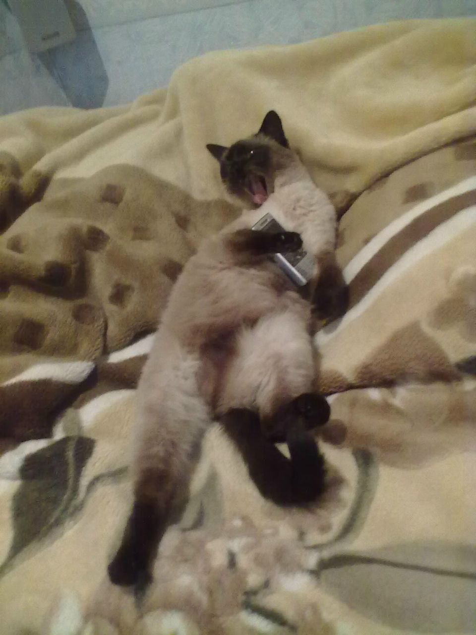 Алексей Фёдоров | Санкт-Петербург