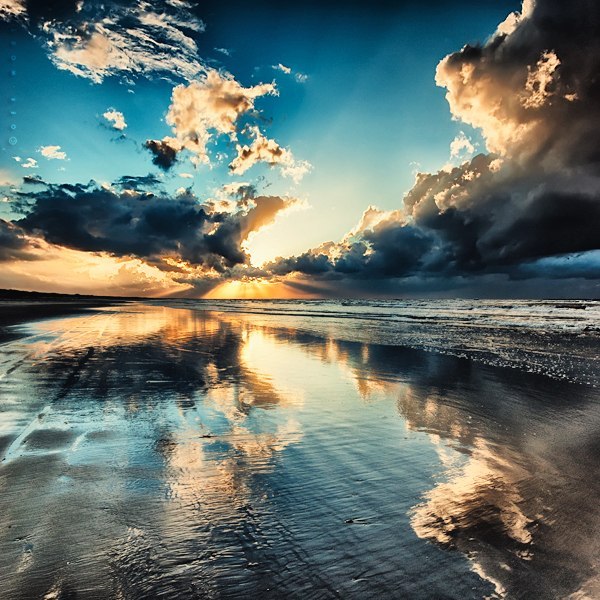 №73, Светлана Петрова №73, Светлана Петрова