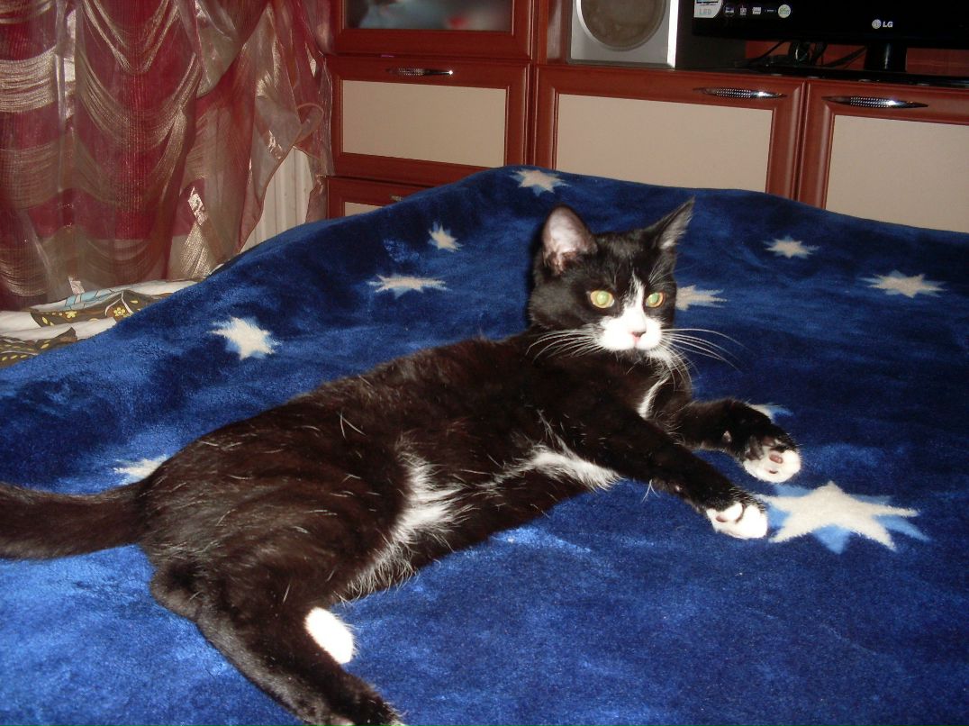 Вадим Прохоренко | Санкт-Петербург