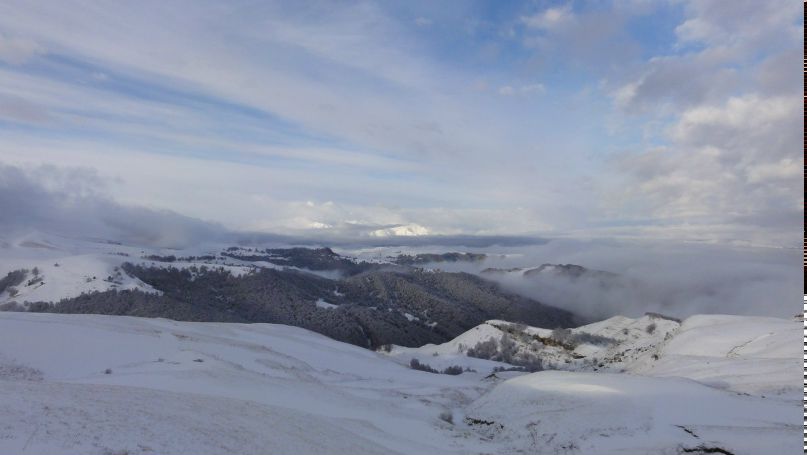 Виктория Боровик | Ростов-на-Дону