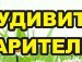 Денис Башлыков | Нижнекамск