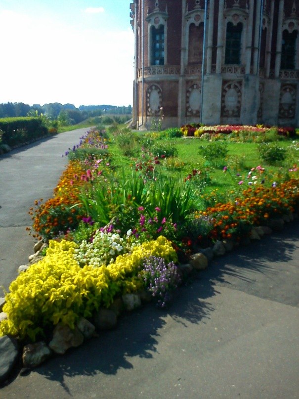 Людмила Operation | Москва