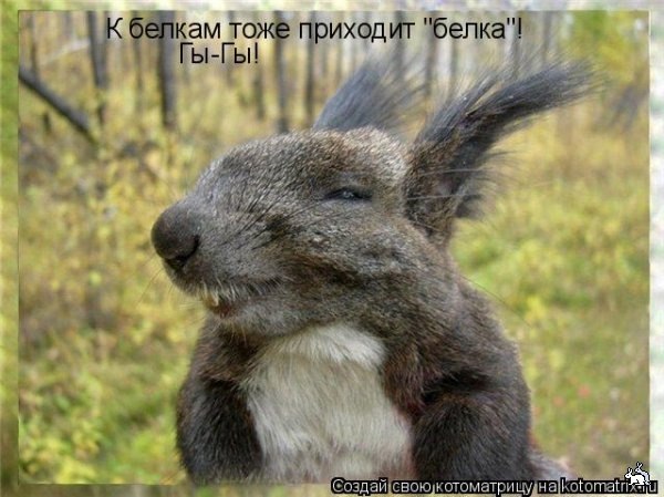Василий Полевой | Киев