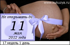 №99, Юлия Харламова, 34 года, Санкт-Петербург №99, Юлия Харламова, 34 года, Санкт-Петербург