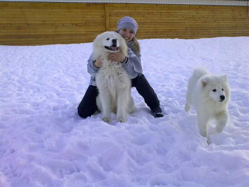 Виктория Китаева | Орша