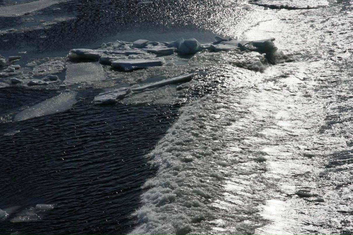 Стася Молчанинова | Москва