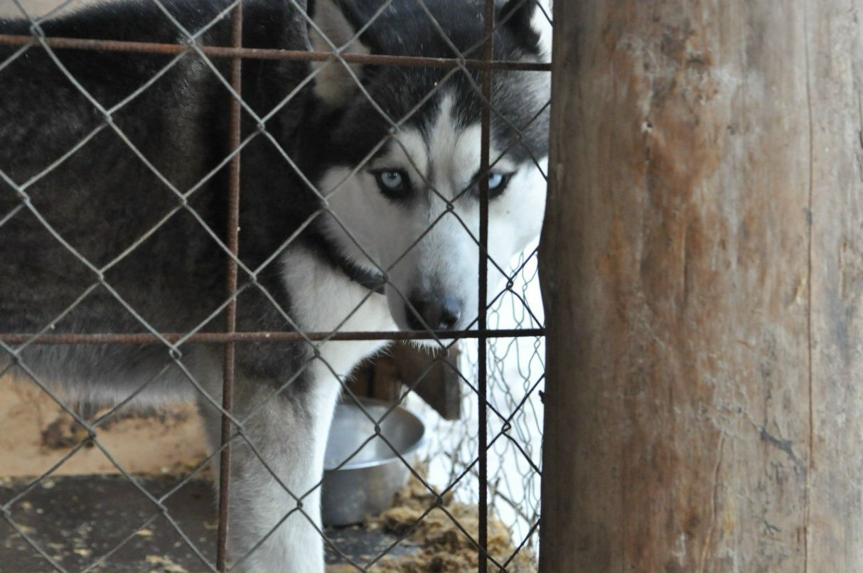 Катерина Варлашова | Москва