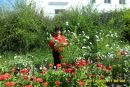 Фотография Альмира Шарафутдинова