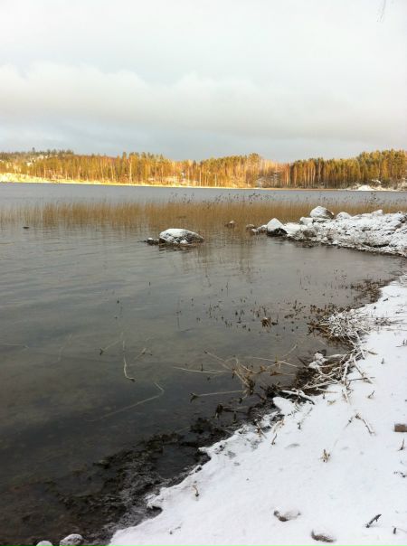 №116, Надин Ледовская, Санкт-Петербург №116, Надин Ледовская, Санкт-Петербург