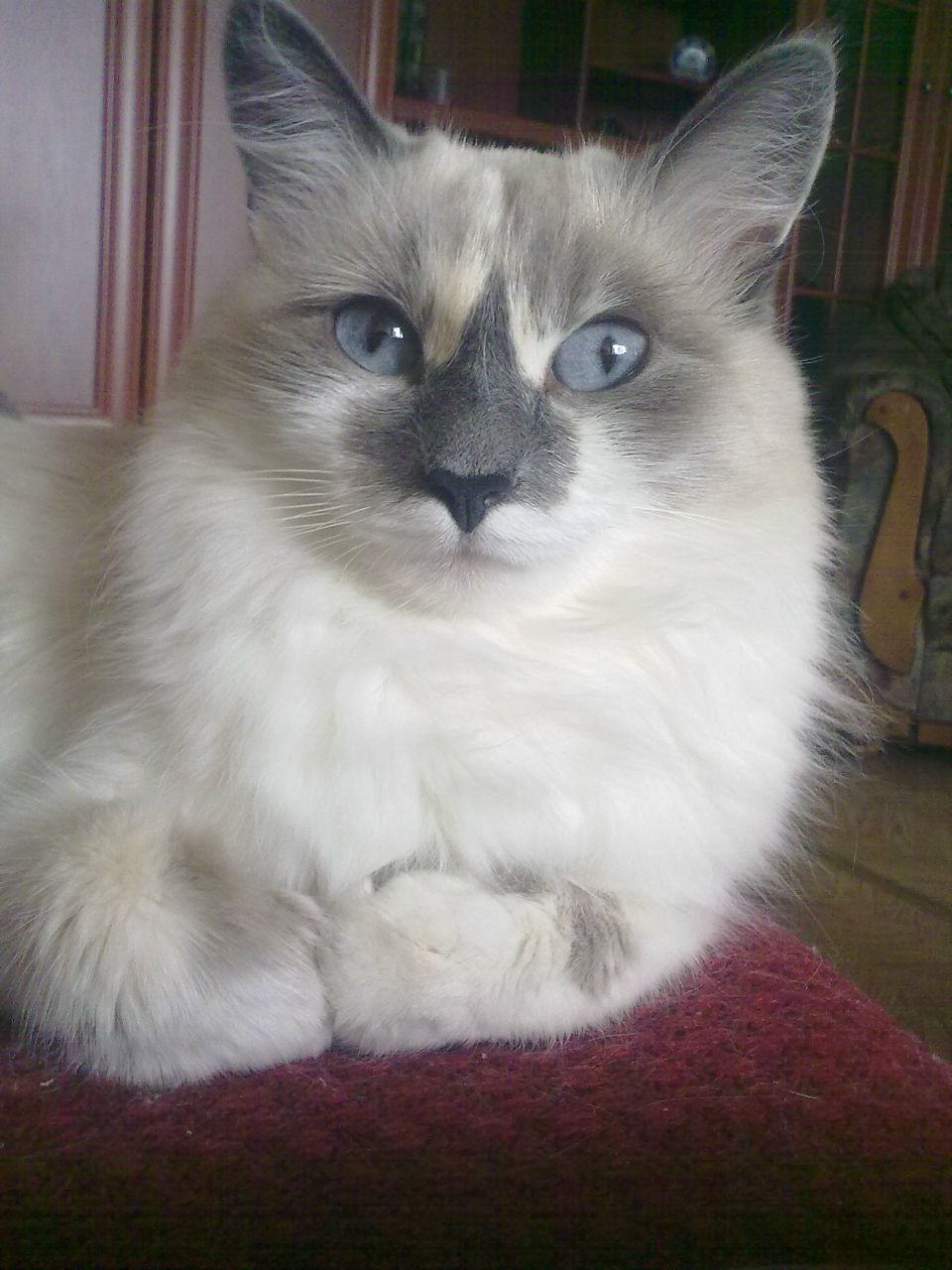 Дария Герр | Астана / Нур-Султан