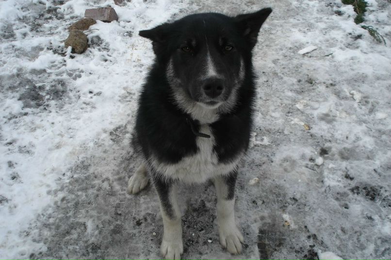 Елена Петрова | Санкт-Петербург