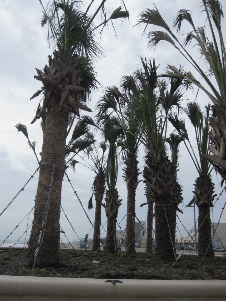 Ekaterina Peskova | Харьков