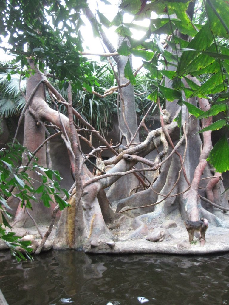 Светлана Veselkovaa | Москва