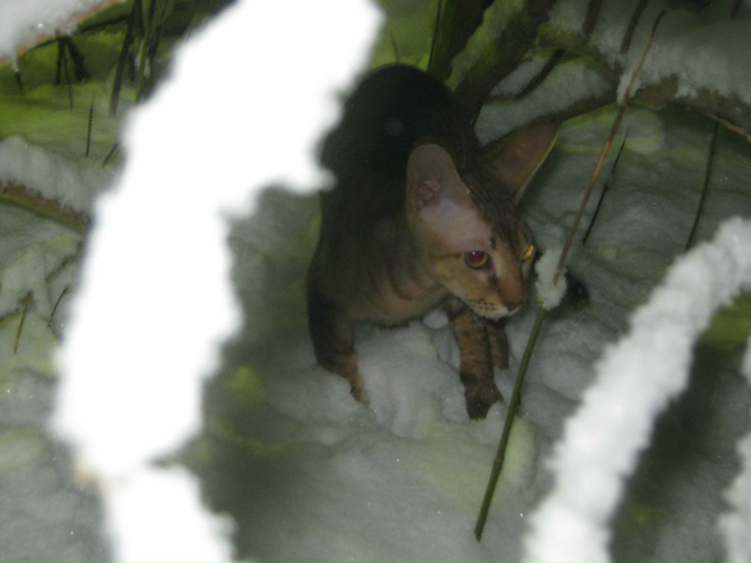 Наталья Загуляева | 