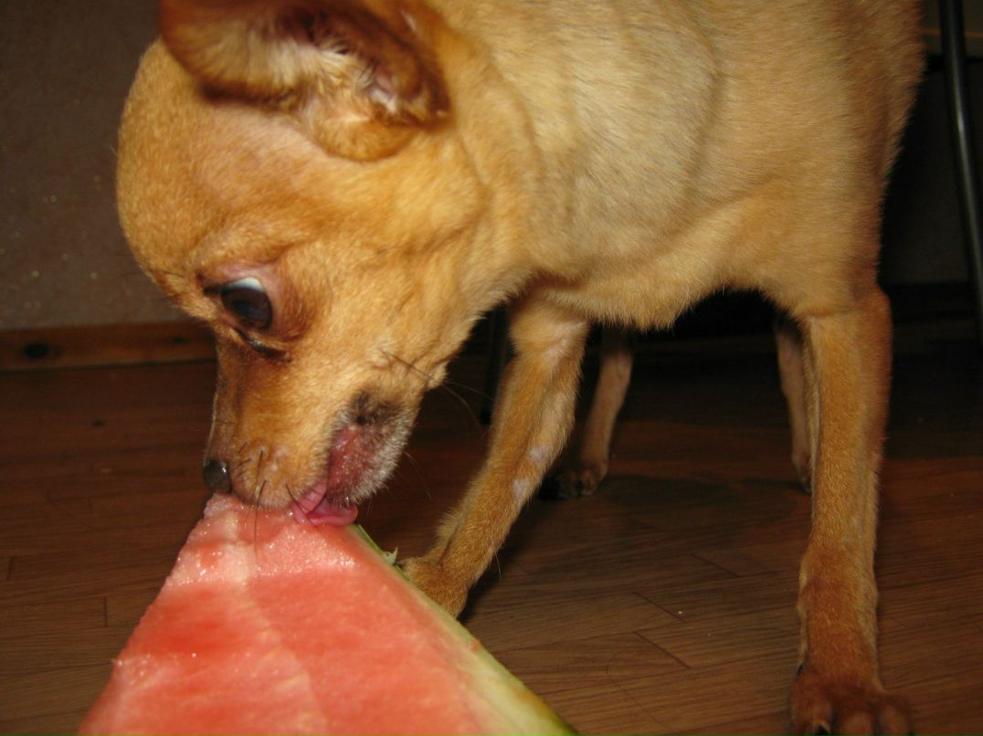 Наталья Загуляева | 