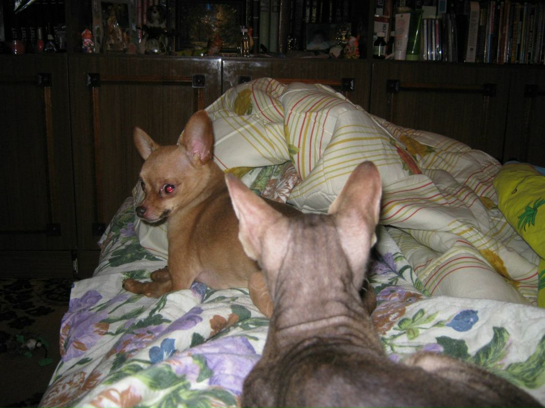 Наталья Загуляева | 