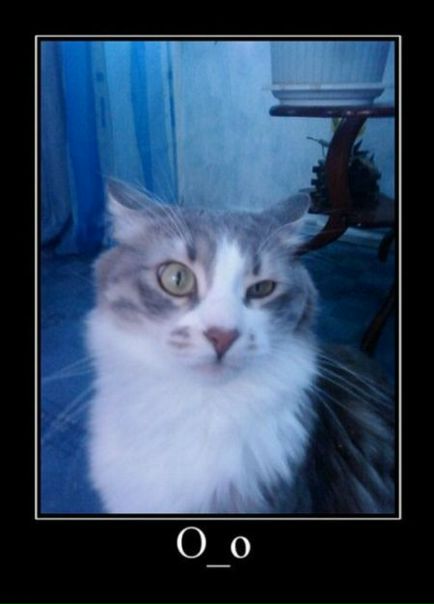 №6, Олександр Копиця, Харьков №6, Олександр Копиця, Харьков