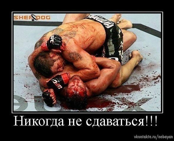 №3, Руслан Целовальников №3, Руслан Целовальников