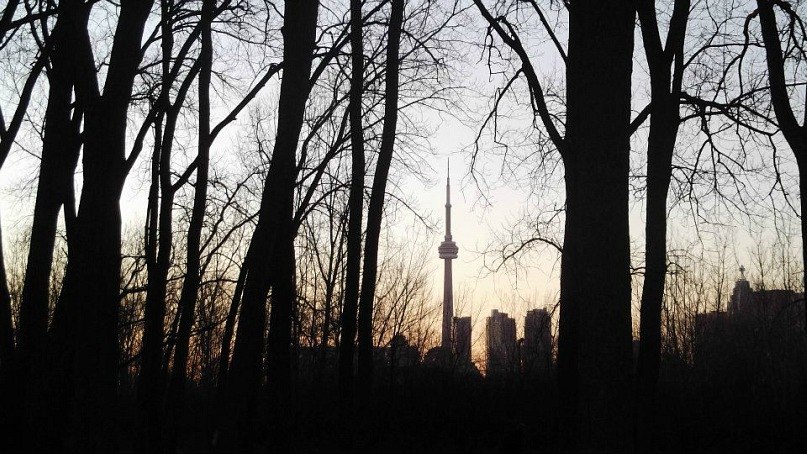 Benjamin Rush мальчик_Владик | Москва