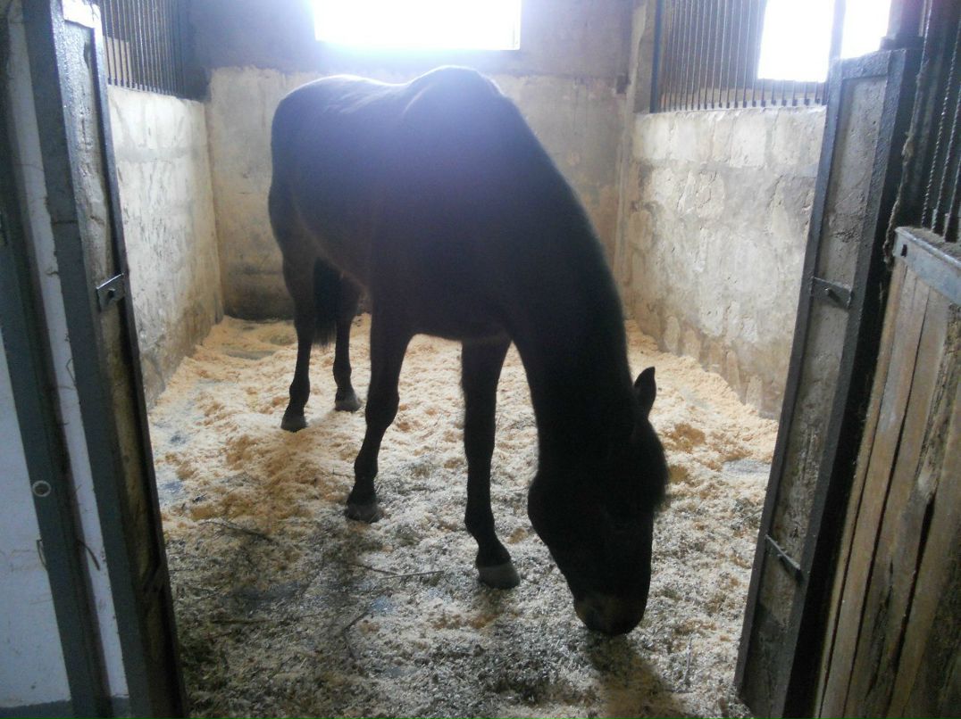 Таисия Медведева | Мытищи