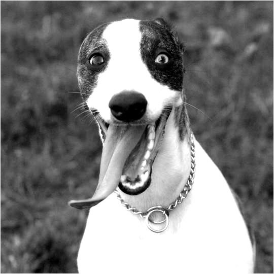 Антон Разуваев | Москва